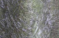 Winkhill fibreglass roof work